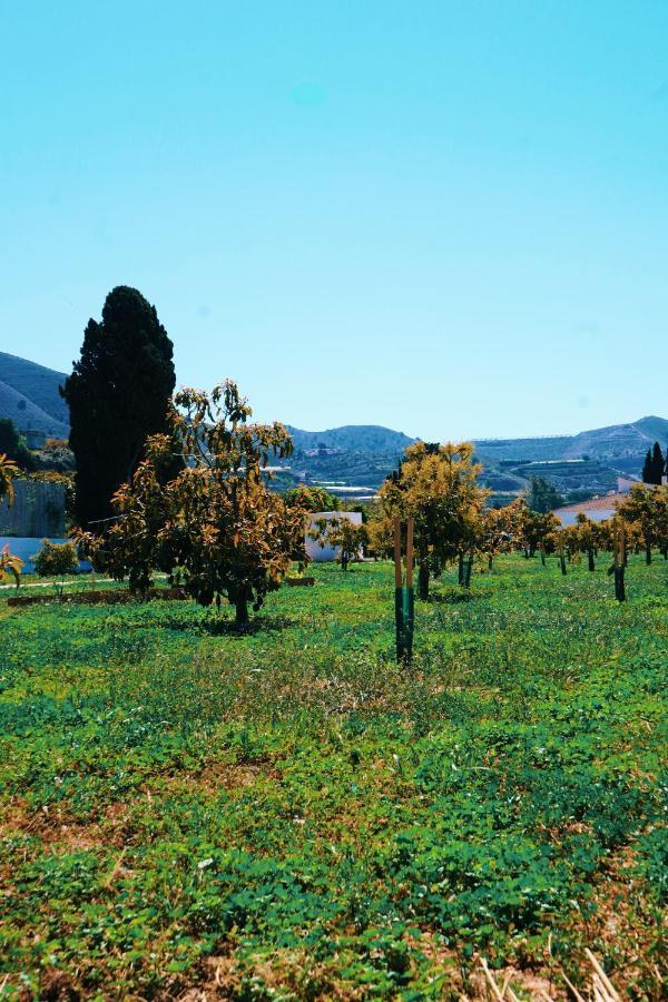 Finca Yantar Motril Exterior foto